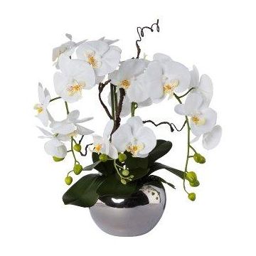 Arreglo floral de orquídeas artificiales y sauce retorcido LULUDI, maceta de cerámica plateada, raíces blancas, 55cm
