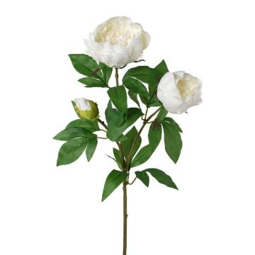 Rama de peonía artificial SLORVE, blanca, 70 cm Rama de peonía artificial SLORVE, blanca, 70 cm