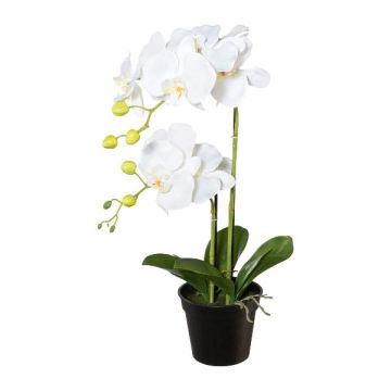 Orquídea Phalaenopsis artificial WENJAN, maceta decorativa, raíces, blanca, 55 cm