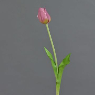 Tulipán artificial LONA, lila y verde, 45 cm, Ø 4 cm