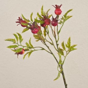 Rama de rosa silvestre artificial VIVEKA con escaramujos, roja, 45cm Rama de rosa silvestre artificial VIVEKA con escaramujos, roja, 45cm