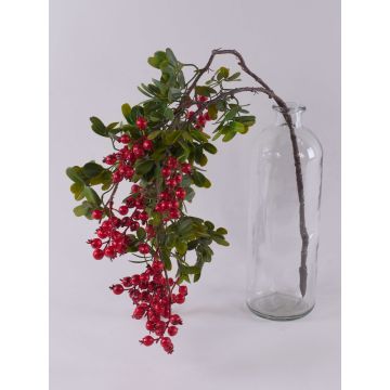 Rama decorativa de rosas silvestres WARUNA con escaramujos, roja, 85 cm Rama decorativa de rosas silvestres WARUNA con escaramujos, roja, 85 cm