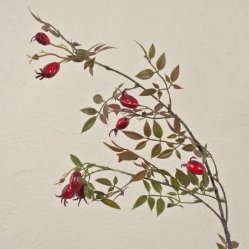 Rama de rosas silvestres artificiales WARDALIA con escaramujos, roja, 95 cm Rama de rosas silvestres artificiales WARDALIA con escaramujos, roja, 95 cm