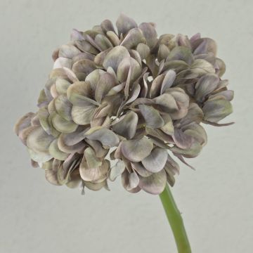 Flor decorativa de hortensia MANDISA, gris-lila-verde, 45 cm, Ø 16 cm