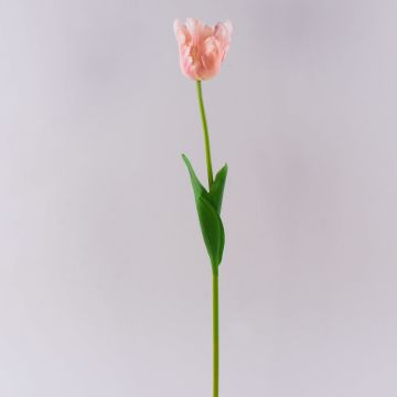 Flor de plástico «tulipán loro» PETSCHORA, albaricoque-rosa, 65 cm Flor de plástico «tulipán loro» PETSCHORA, albaricoque-rosa, 65 cm