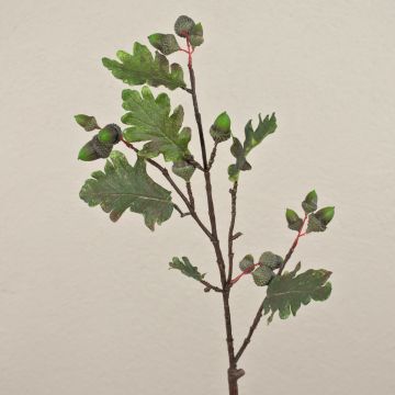 Rama artificial de roble LAMINKE con bellotas, verde, 70 cm Rama artificial de roble LAMINKE con bellotas, verde, 70 cm