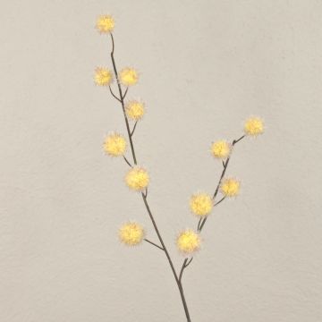 Rama decorativa de Gomphocarpus ELAENA, con frutos, beige-violeta, 100 cm Rama decorativa de Gomphocarpus ELAENA, con frutos, beige-violeta, 100 cm