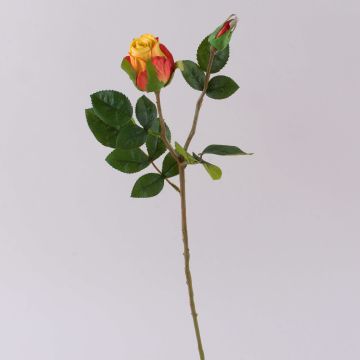 Rosa de terciopelo RENESMEE, amarillo-rojo, 45 cm, Ø 6 cm Rosa de terciopelo RENESMEE, amarillo-rojo, 45 cm, Ø 6 cm