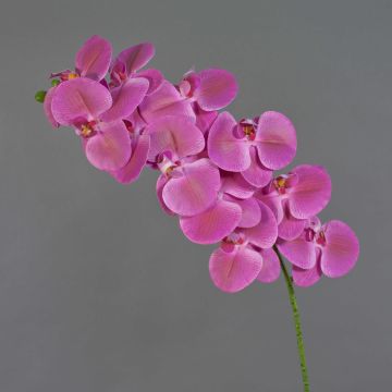 Rama de orquídea Phalaenopsis artificial XURI, rosa, 95 cm, Ø 12,5 cm