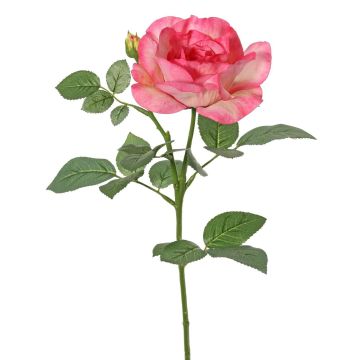 Flor decorativa rosa WAIOLA, rosa-fucsia, 65 cm, Ø 11 cm