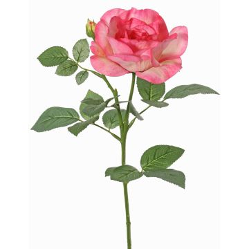 Flor decorativa rosa WAIOLA, rosa-fucsia, 65cm, Ø11cm Flor decorativa rosa WAIOLA, rosa-fucsia, 65cm, Ø11cm