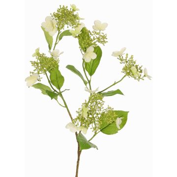Rama artificial de hortensia KATHANI, blanco-verde, 80 cm, Ø 10-13 cm Rama artificial de hortensia KATHANI, blanco-verde, 80 cm, Ø 10-13 cm