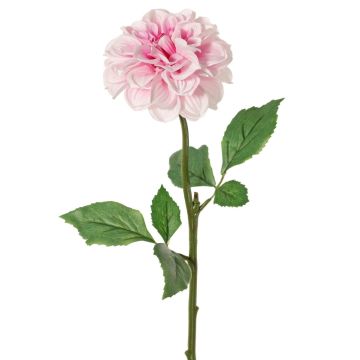 Dalia artificial TINKALA, rosa pálido, 60 cm, Ø 12 cm Dalia artificial TINKALA, rosa pálido, 60 cm, Ø 12 cm