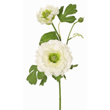 Ranúnculo artificial SAGARA, blanco-verde, 45cm, Ø5-9cm Ranúnculo artificial SAGARA, blanco-verde, 45cm, Ø5-9cm
