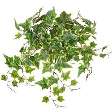 Colgante decorativo de hiedra BESSIE con varilla, Colección Eco, verde-blanco, 55 cm Colgante decorativo de hiedra BESSIE con varilla, Colección Eco, verde-blanco, 55 cm