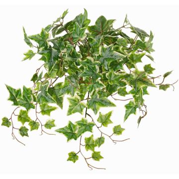 Colgante decorativo de hiedra BESSIE con varilla, Colección Eco, verde-blanco, 55cm Colgante decorativo de hiedra BESSIE con varilla, Colección Eco, verde-blanco, 55cm