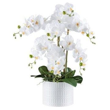Orquídea Phalaenopsis artificial TOUNI, maceta de cerámica, raíces, blanca, 60cm Orquídea Phalaenopsis artificial TOUNI, maceta de cerámica, raíces, blanca, 60cm