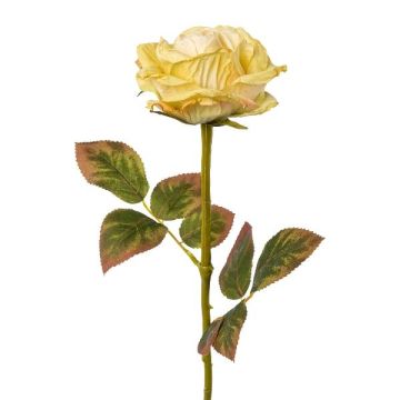 Flor decorativa rosa DRINT, aspecto seco, verde-crema, 60cm, Ø10,5cm Flor decorativa rosa DRINT, aspecto seco, verde-crema, 60cm, Ø10,5cm