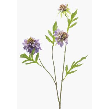 Rama artificial de scabiosa RUXTER, lila, 60 cm, Ø 6-8 cm Rama artificial de scabiosa RUXTER, lila, 60 cm, Ø 6-8 cm