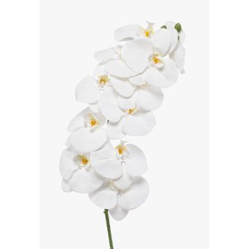 Rama de orquídea Phalaenopsis artificial XURI, blanca, 95 cm, Ø 12,5 cm