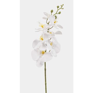 Rama de orquídea Phalaenopsis artificial AXELOR, blanca, 85 cm Rama de orquídea Phalaenopsis artificial AXELOR, blanca, 85 cm