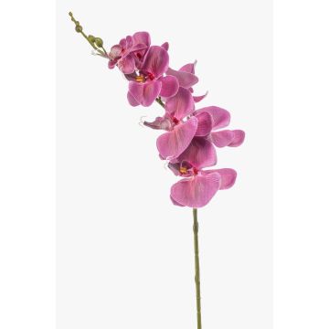 Rama de orquídea Phalaenopsis artificial AXELOR, rosa, 85 cm Rama de orquídea Phalaenopsis artificial AXELOR, rosa, 85 cm