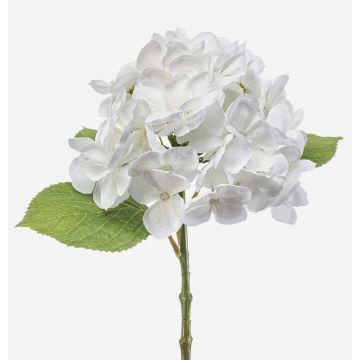 Hortensia artificial EXORIN, blanca, 50cm, Ø17cm Hortensia artificial EXORIN, blanca, 50cm, Ø17cm