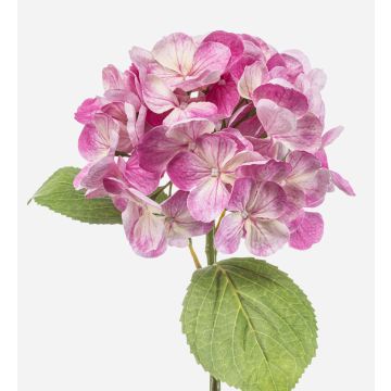 Hortensia sintética EXORIN, rosa, 50cm, Ø17cm Hortensia sintética EXORIN, rosa, 50cm, Ø17cm