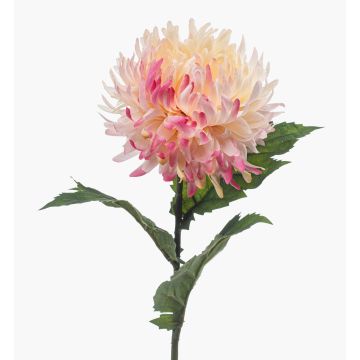 Crisantemo artificial SAXLER, rosa-fucsia-blanco, 60 cm, Ø 12 cm Crisantemo artificial SAXLER, rosa-fucsia-blanco, 60 cm, Ø 12 cm