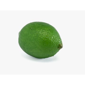Fruta artificial: lima NANGA, verde, 8,5 cm, Ø 6 cm Fruta artificial: lima NANGA, verde, 8,5 cm, Ø 6 cm
