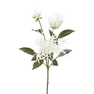 Rama de crisantemo artificial MIRANE, blanco, 70 cm Rama de crisantemo artificial MIRANE, blanco, 70 cm
