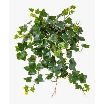 Hiedra artificial colgante LINNEO con soporte, crossdoor, verde-blanco, 50cm Hiedra artificial colgante LINNEO con soporte, crossdoor, verde-blanco, 50cm