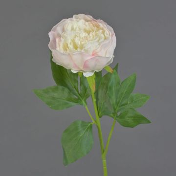 Flor artificial de peonía SEDFY, color crema y rosa pálido, 60 cm, Ø 10 cm Flor artificial de peonía SEDFY, color crema y rosa pálido, 60 cm, Ø 10 cm