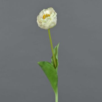 Flor de plástico tulipán LURANA, blanco, 55cm, Ø7cm Flor de plástico tulipán LURANA, blanco, 55cm, Ø7cm