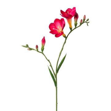 Rama artificial de fresia FONDYL, rosa, 70 cm Rama artificial de fresia FONDYL, rosa, 70 cm