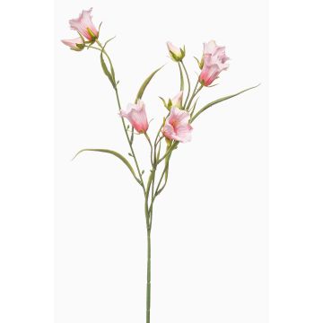 Rama decorativa de campanilla EMMELY, rosa claro, 65 cm, Ø 5 cm Rama decorativa de campanilla EMMELY, rosa claro, 65 cm, Ø 5 cm