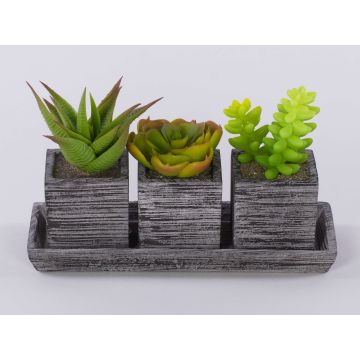 Arreglo de suculentas SYLVIA de espuma plástica en macetas decorativas, verde, 19 x 7,5 x 11 cm