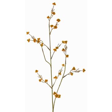 Rama decorativa de Stirlingia latifolia COLLAN, naranja y verde, 75 cm, Ø 1 cm