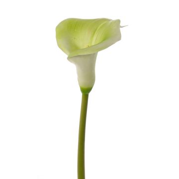 Flor artificial de cala MIRAC, verde y blanco, 75 cm, 12 x 15 cm Flor artificial de cala MIRAC, verde y blanco, 75 cm, 12 x 15 cm