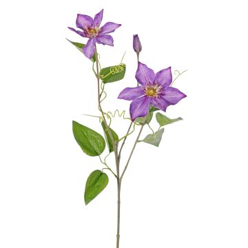 Clematis artificial DORAN, morada, 75 cm, Ø 11-13 cm Clematis artificial DORAN, morada, 75 cm, Ø 11-13 cm
