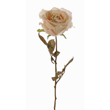 Rosa artificial NAJMA, aspecto seco, crema-rosa, 65cm, Ø10cm Rosa artificial NAJMA, aspecto seco, crema-rosa, 65cm, Ø10cm