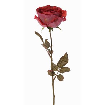 Rosa artificial NAJMA, aspecto seco, rojo antiguo-violeta, 65cm, Ø10cm Rosa artificial NAJMA, aspecto seco, rojo antiguo-violeta, 65cm, Ø10cm