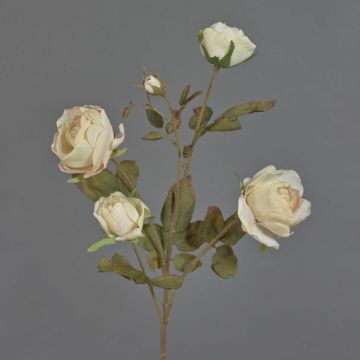 Rama de rosa artificial SITARA, aspecto seco, rosa crema, 75 cm, Ø 5-8 cm Rama de rosa artificial SITARA, aspecto seco, rosa crema, 75 cm, Ø 5-8 cm