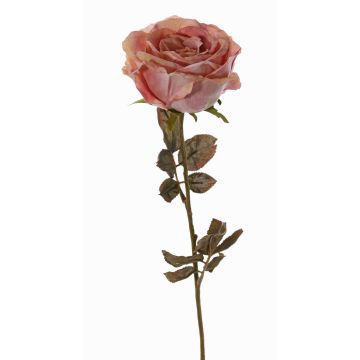 Rosa artificial NAJMA, aspecto seco, rosa palo, 65cm, Ø10cm Rosa artificial NAJMA, aspecto seco, rosa palo, 65cm, Ø10cm