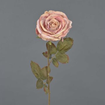 Rosa artificial NAJMA, aspecto seco, rosa antiguo, 65 cm, Ø 10 cm Rosa artificial NAJMA, aspecto seco, rosa antiguo, 65 cm, Ø 10 cm