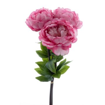 Ramo de flores de tela de peonías DUDIL, rosa-fucsia, 50 cm Ramo de flores de tela de peonías DUDIL, rosa-fucsia, 50 cm