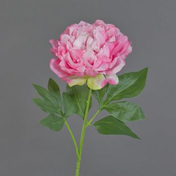 Flor artificial de peonía CORDOBA, rosa, 60 cm, Ø 16 cm Flor artificial de peonía CORDOBA, rosa, 60 cm, Ø 16 cm