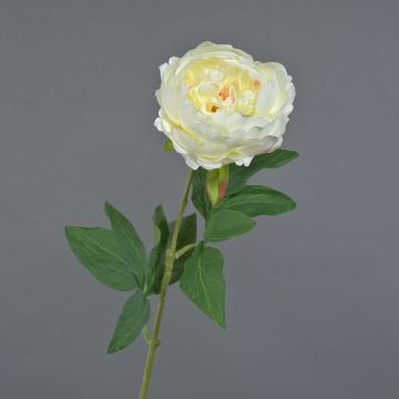 Peonía artificial TALFY, color crema, 65 cm, Ø 10 cm Peonía artificial TALFY, color crema, 65 cm, Ø 10 cm
