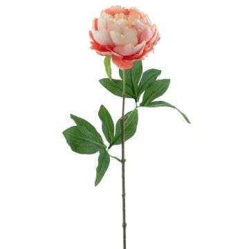 Peonía artificial TALFY, rosa-melocotón, 65 cm, Ø 10 cm