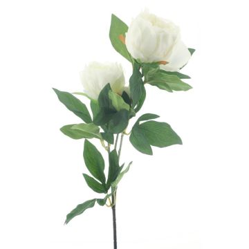 Rama de peonía artificial THEMIA, color crema, 65 cm Rama de peonía artificial THEMIA, color crema, 65 cm